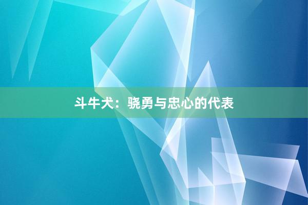 斗牛犬：骁勇与忠心的代表