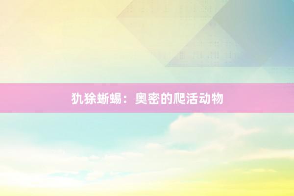 犰狳蜥蜴：奥密的爬活动物