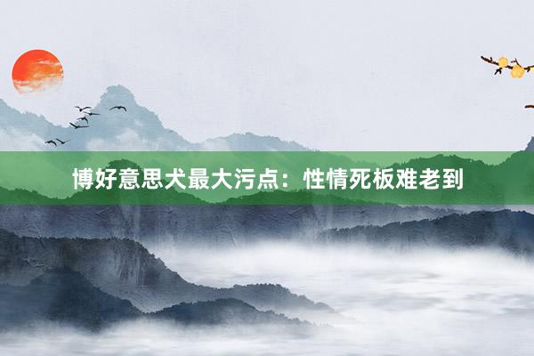 博好意思犬最大污点：性情死板难老到